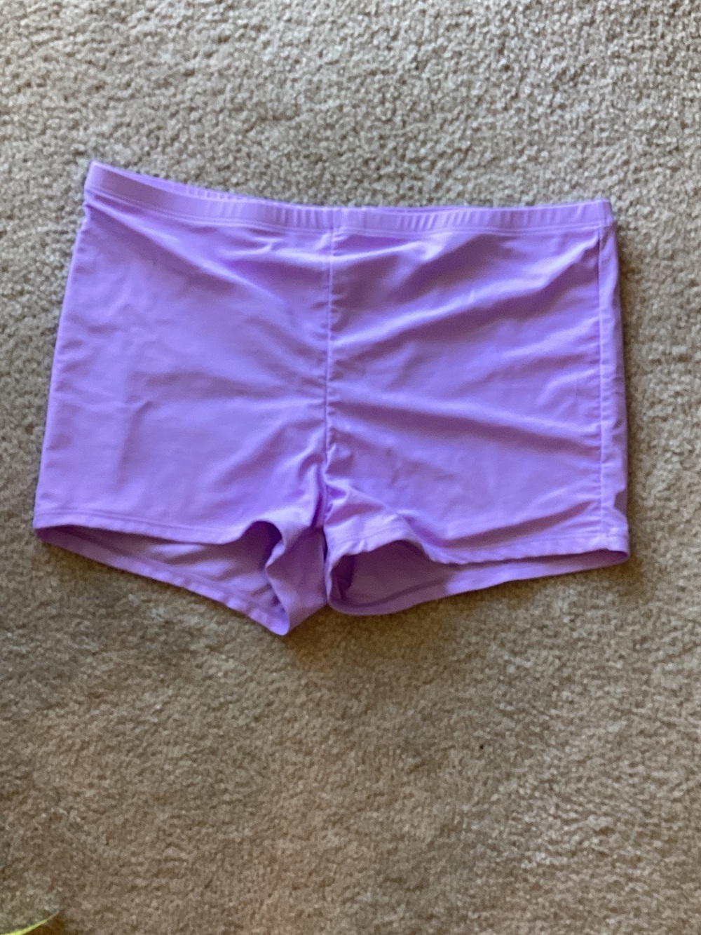 Women's Lilac Swim Shorts — Size 1X